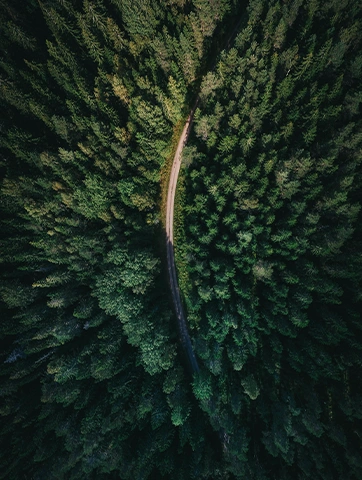 sustainability-energy
